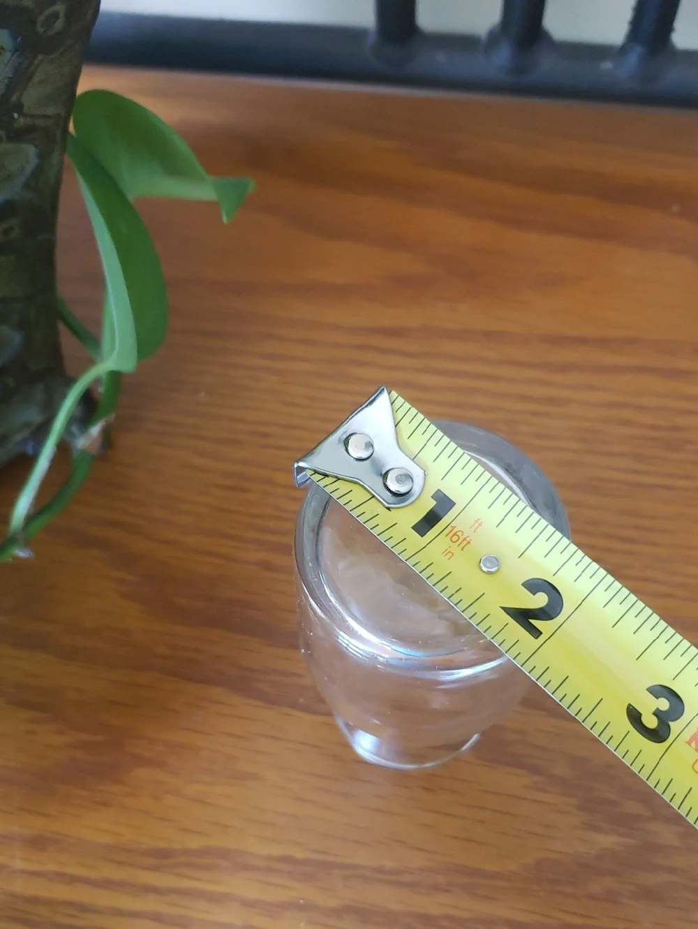Elegant Clear Glass Vases- Set Of 3